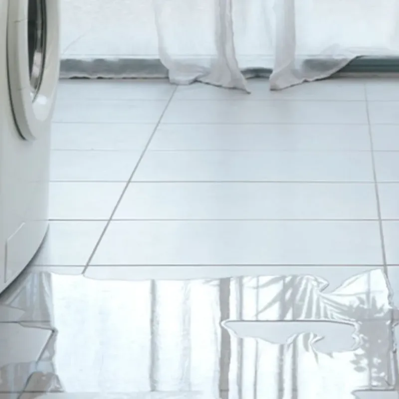 Appliance Leak Cleanup in Pasadena, CA